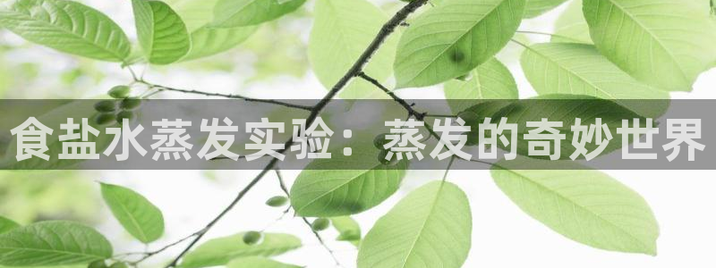 威九国际78mb游戏