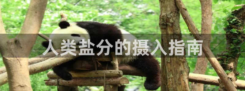 威九国际78mb官网版