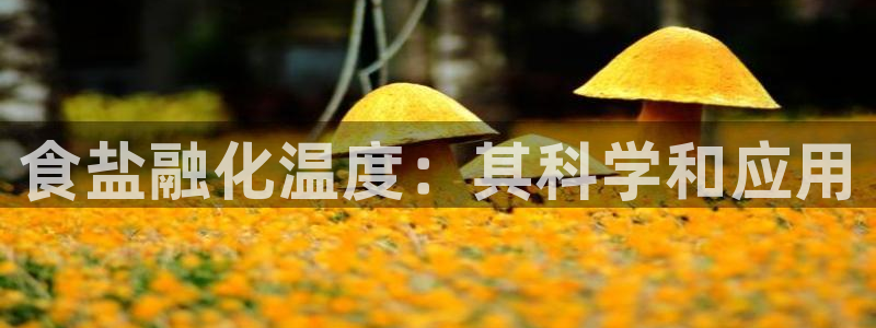 威九国际视频传媒招聘
