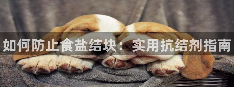 威九国际新人白发
