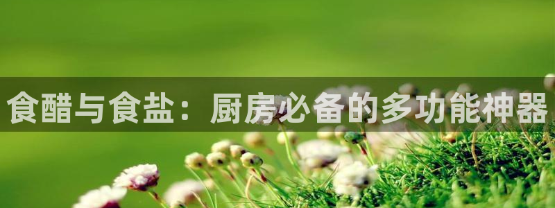 保定威九网络科技有限公司电话