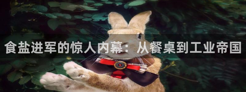 威九国际可以退钱吗怎么退的