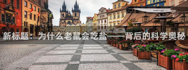 威九国际里的长头发帅哥名字