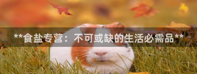 威九国际精