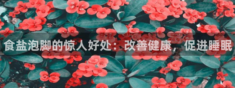 78mapp威九国际官网