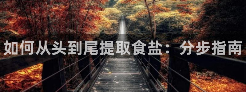 威九国际app网站官网