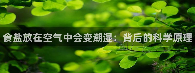 威九国际黑钱