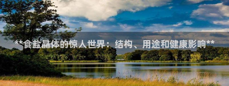 威九国际网站客服电话多少号码