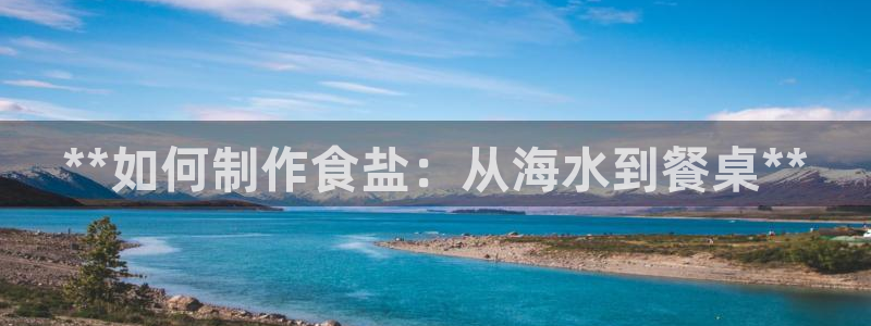 威九国际精选