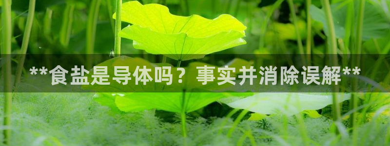 威九国际网站安全吗可靠吗
