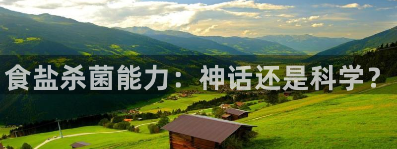 78mapp威九国际成全视频