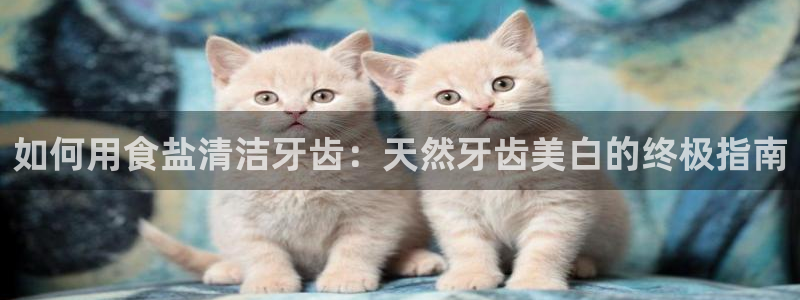 威九国际客服电话人工服务