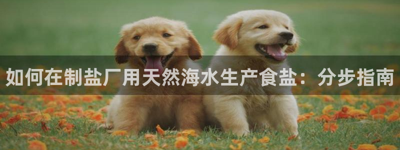 威九国际第一页