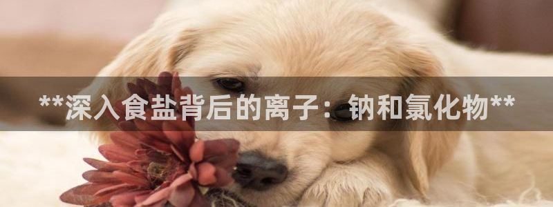 威九国际可以退钱吗怎么退款