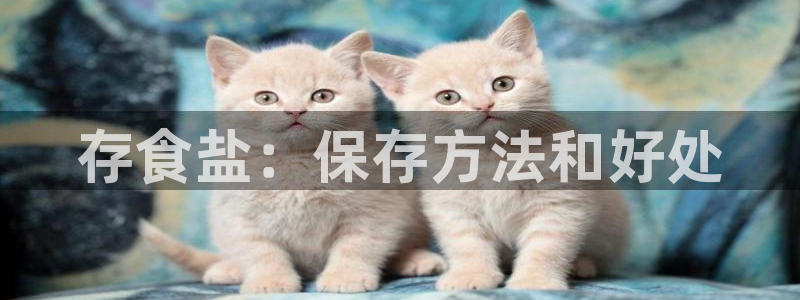 威九国际网站怎么样知乎