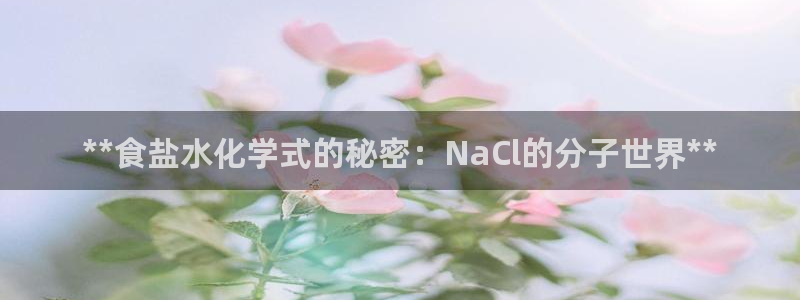威九国际游戏app(网站)