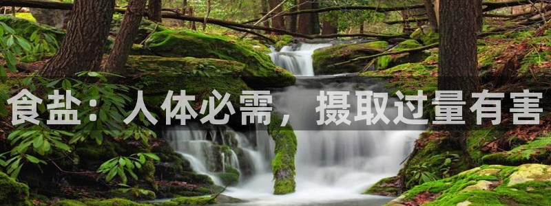 威九国际的金融服务