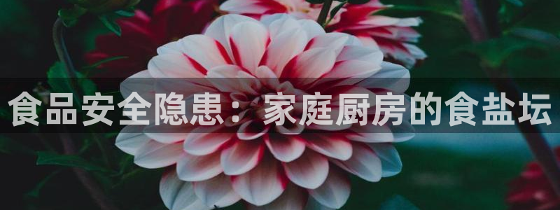 威九国际APP下载