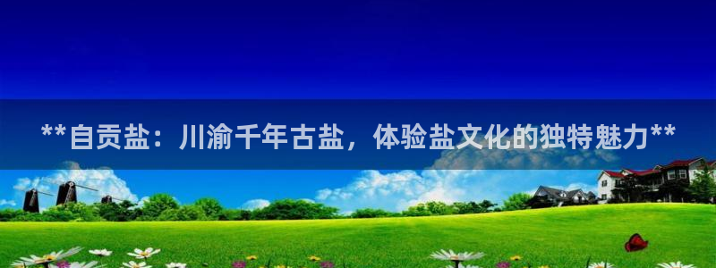 保定威九网络科技有限公司电话