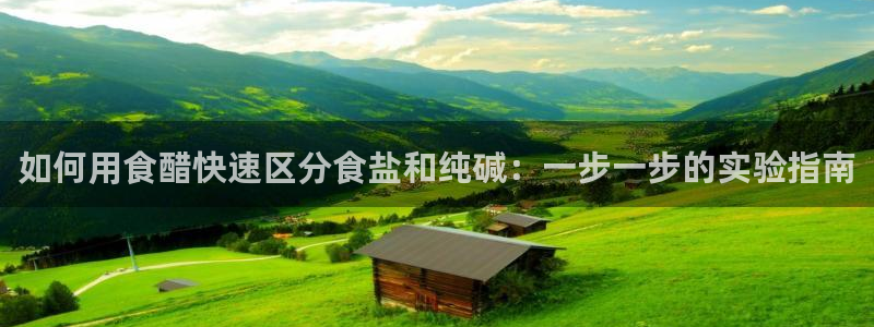 威九国际免费