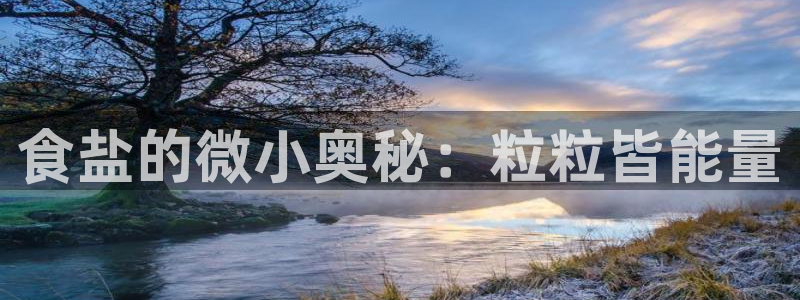 威九国际集团66m一6