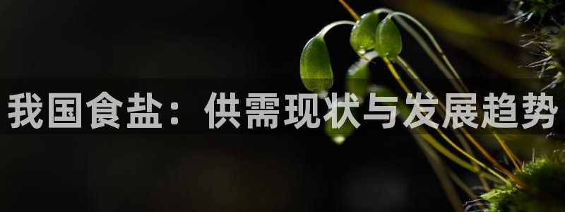 威九国际女演员名单介绍