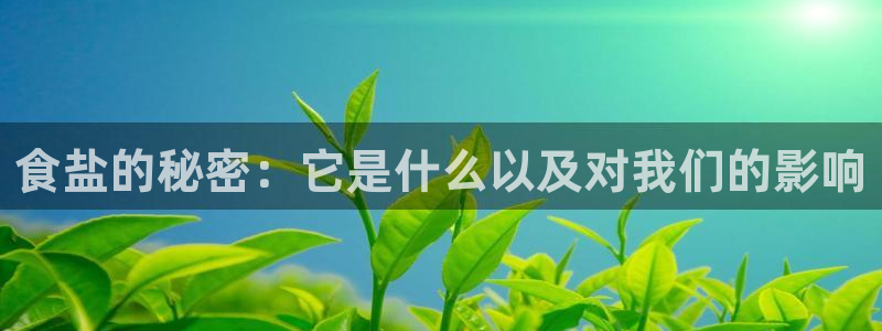 威九国际mm
