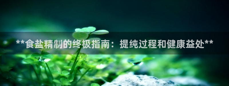 威九国际安全吗的认证团队