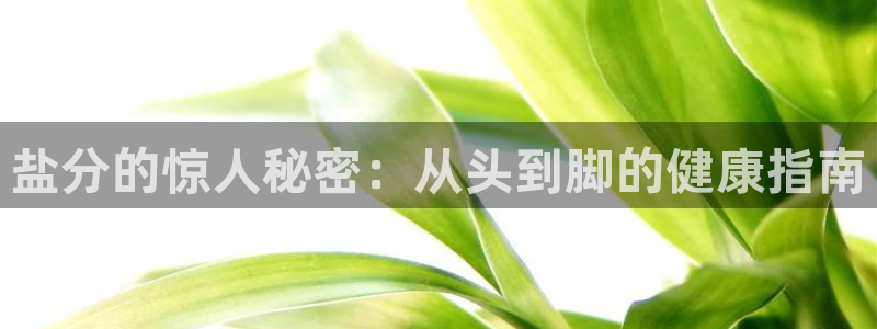 威九国际空降