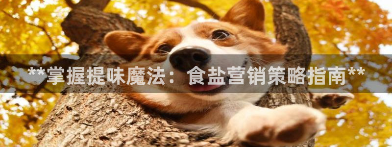 威九国际官网版