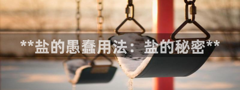 威九国际女孩
