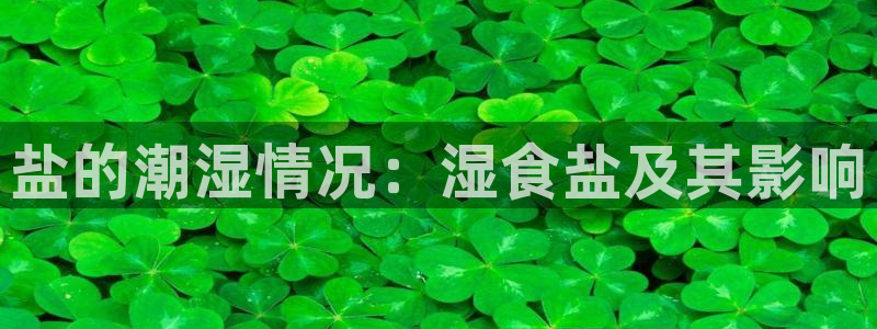 威九国际人民网招聘