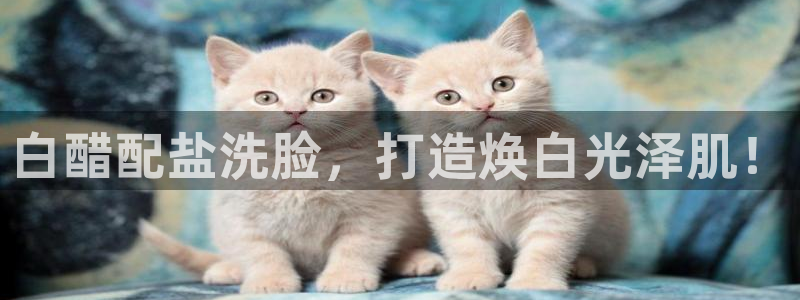 威九国际旗下艺人有谁