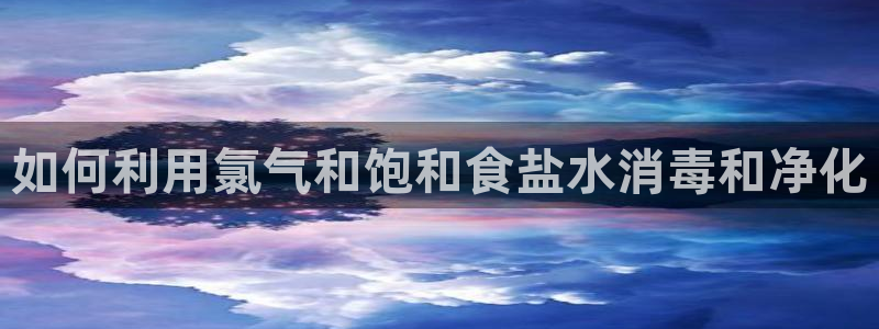 78mapp威九国际