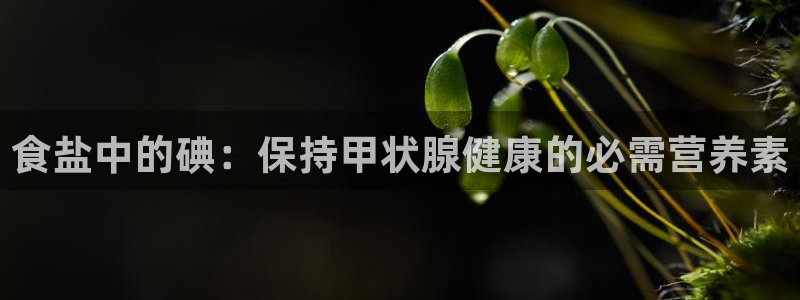 威九国际集团66m一6