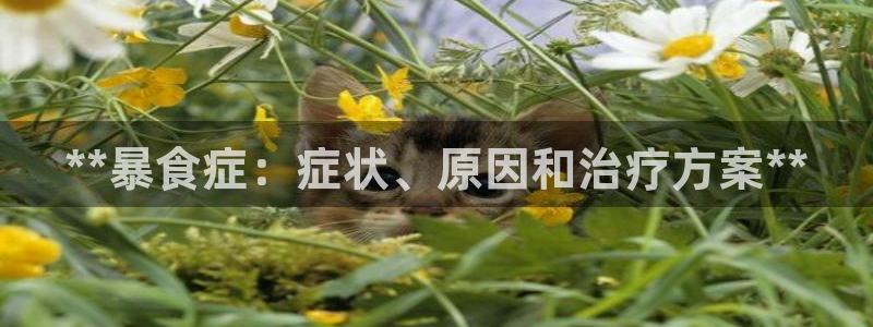 威九国际旗下艺人有谁