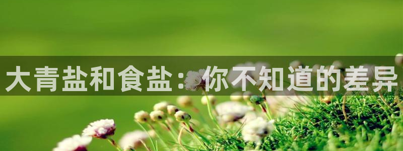 威九国际在线平台怎么样啊