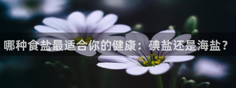 威九国际v18