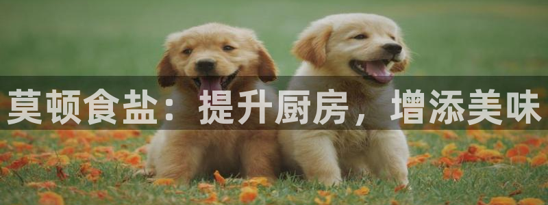 威九国际新人白发