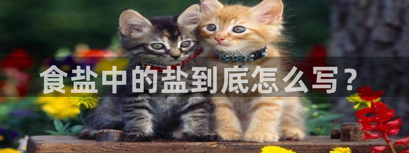 威九国际人民网