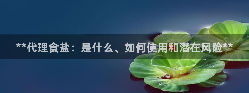 78mapp威九国际官网