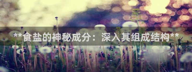 威九国际78m小说