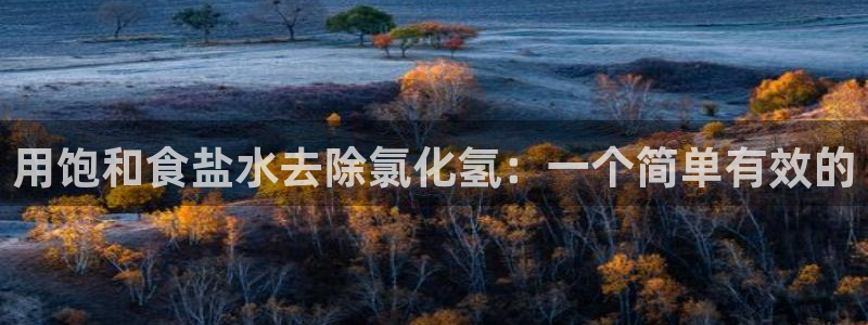 威九国际游戏app(网站)