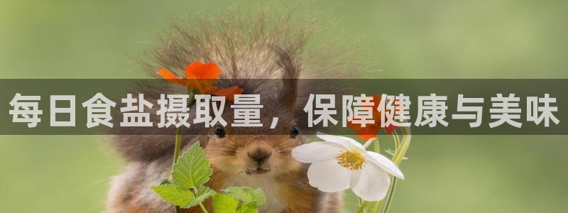 威九国际客服电话号码