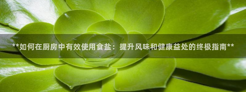 威九国际软件