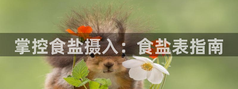 威九国际官方入口官网
