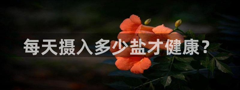 威九国际APP客服