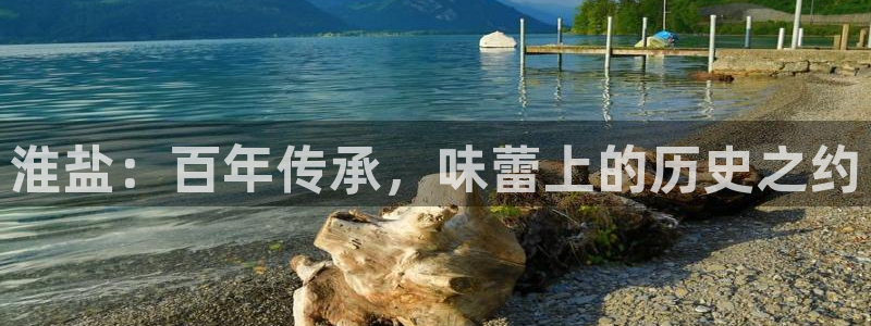 威九国际78m小说