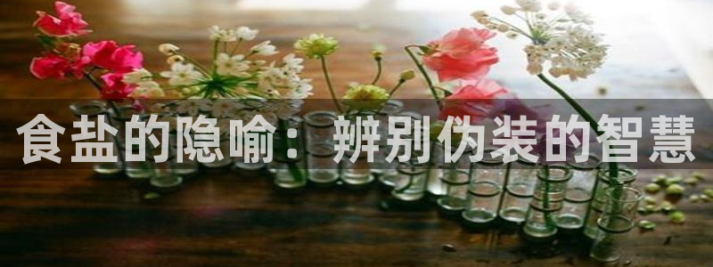 威九国际com