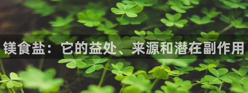 威九国际网站更新